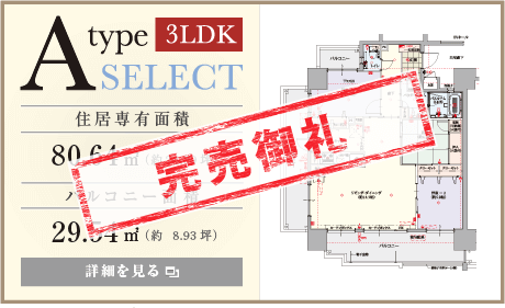 プレサンスロジェ国際通りレーヴタワー　A type SELECT