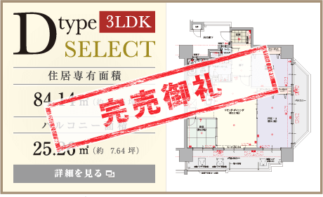 プレサンスロジェ国際通りレーヴタワー　D type SELECT