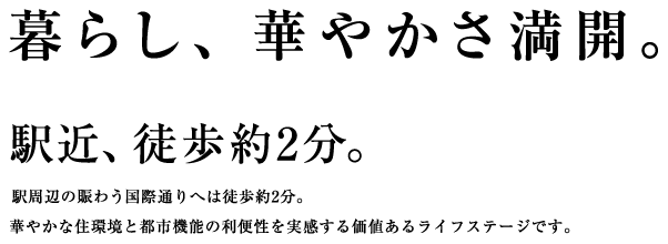 プレサンスロジェ国際通りレーヴタワー 全戸南向きの明るく良質な住まい。 沖縄県那覇市牧志 新築分譲マンション