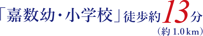 「嘉数幼・小学校」徒歩約13分（約1.0km）