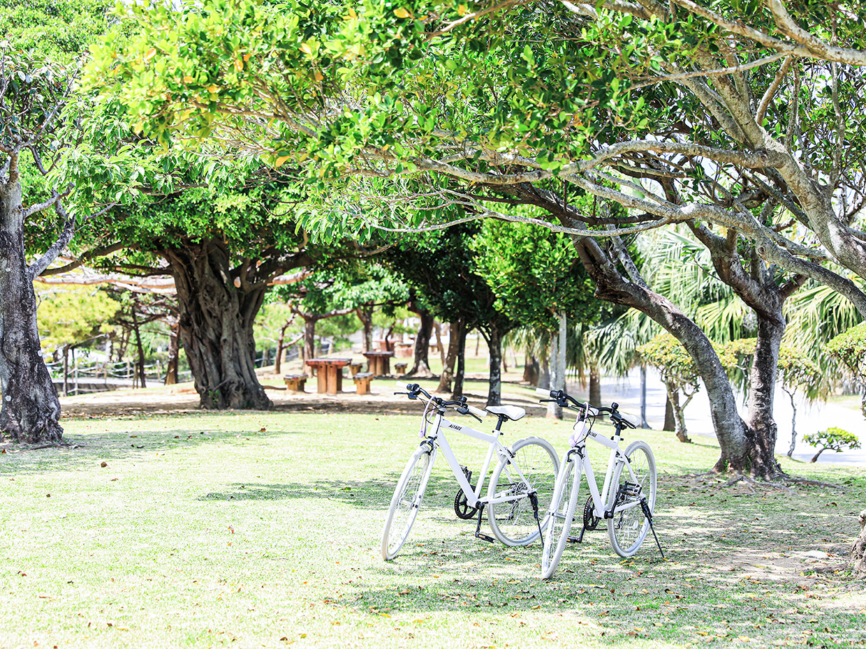 宜野湾市　ぎのわん海浜公園