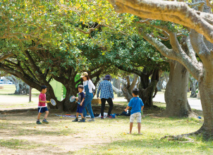 新都心公園