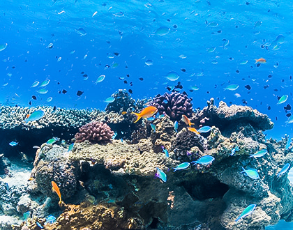 世界が恋する海にも近い恵まれたポジション。