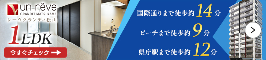 国際通りまで徒歩約14分　ビーチまで徒歩約9分　レーヴグランディ松山　１LDK